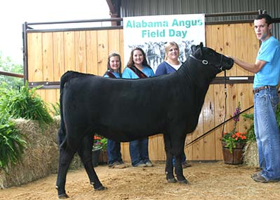 Reserve Grand Champion Owned Female